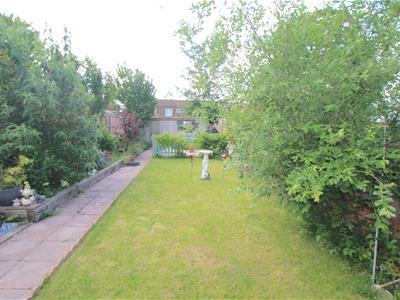 Picture 19